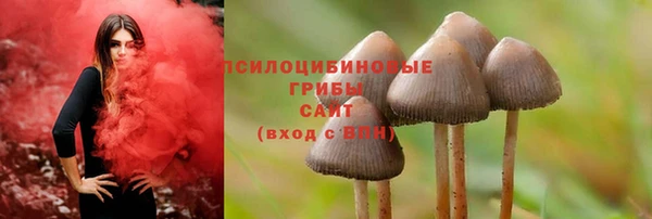 apvp Волоколамск