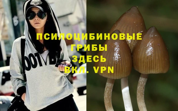 spice Верхний Тагил