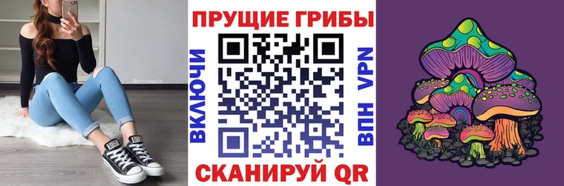 купить  сайты  нарко площадка телеграм  Псилоцибиновые грибы ЛСД  Гаврилов Посад 